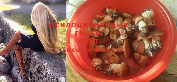 прущий лед Богородицк