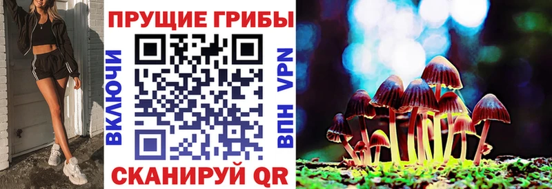 Галлюциногенные грибы Psilocybine cubensis  кракен tor  Дятьково 