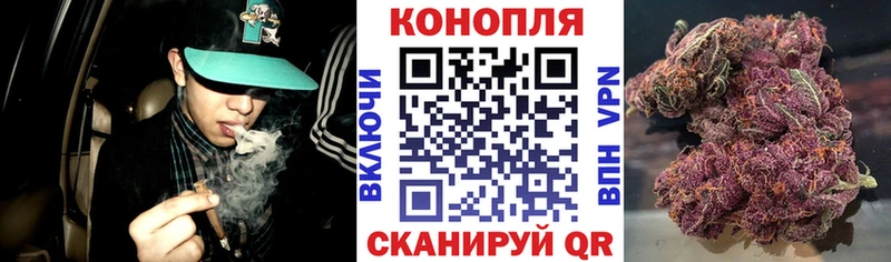 где найти   Дятьково  мориарти телеграм  Бошки марихуана White Widow 